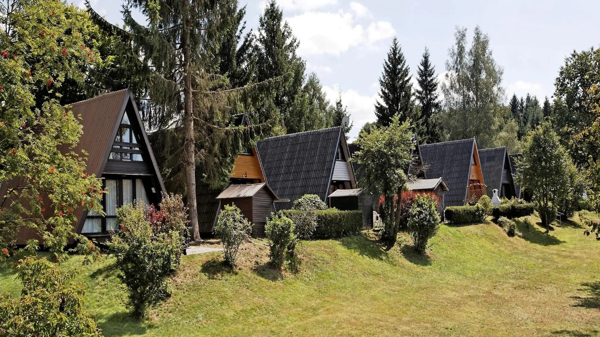 Wooden Chalet With Terrace Near A Swimming Lake Waldkirchen 0*,